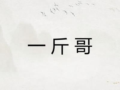 一斤哥