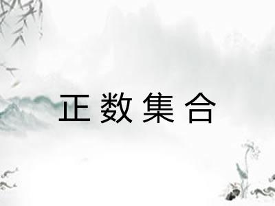 正数集合