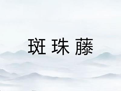斑珠藤