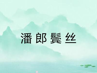 潘郎鬓丝