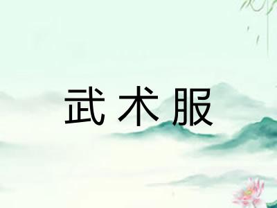 武术服