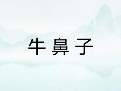 牛鼻子 牛鼻子