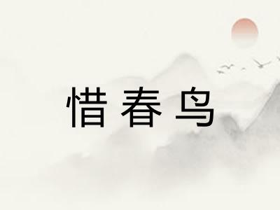 惜春鸟 惜春鸟