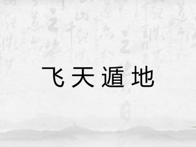飞天遁地
