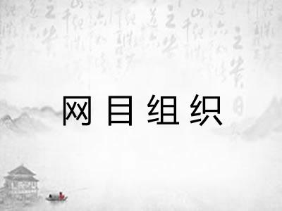 网目组织