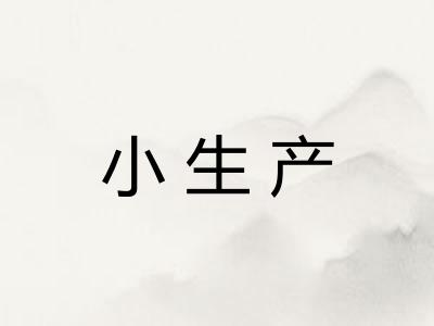 小生产 小生产