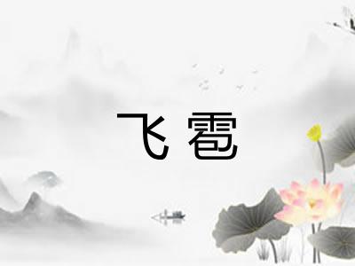 飞雹 飞雹