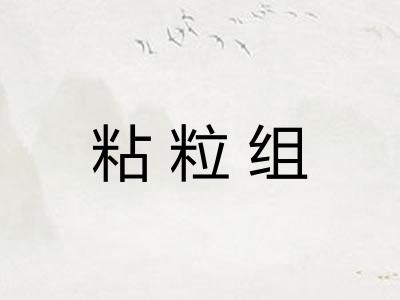 粘粒组 粘粒组