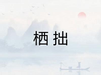栖拙