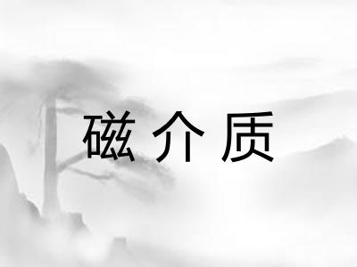 磁介质 磁介质