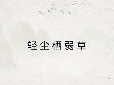 轻尘栖弱草