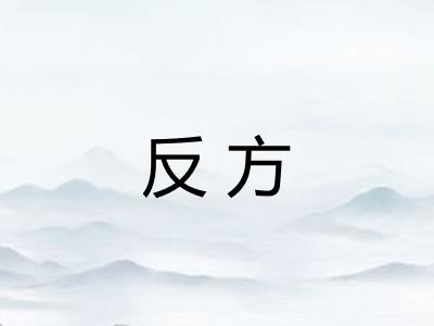 反方