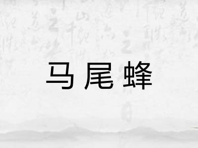马尾蜂