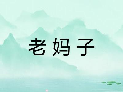 老妈子