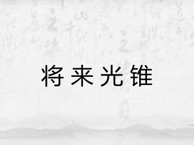 将来光锥