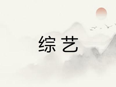 综艺
