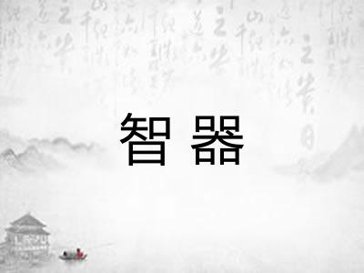 智器