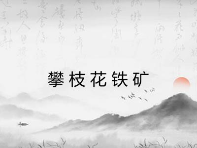 攀枝花铁矿 攀枝花铁矿
