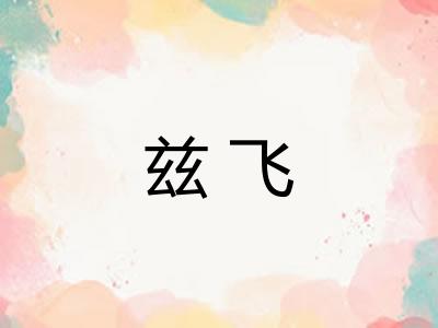 兹飞