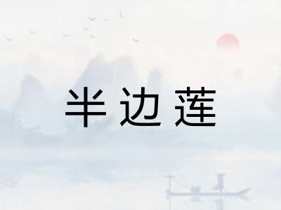半边莲