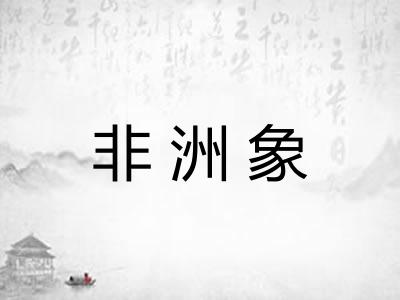 非洲象 非洲象