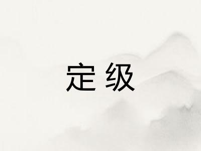 定级