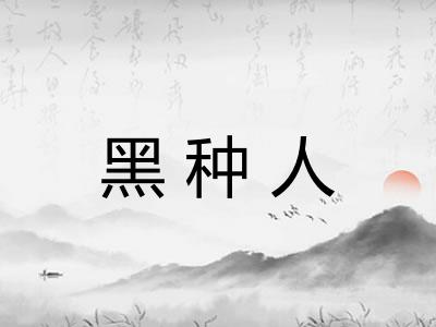 黑种人 黑种人