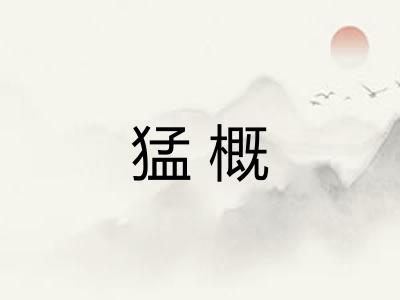 猛概