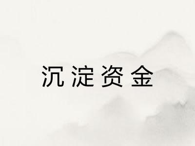 沉淀资金 沉淀资金