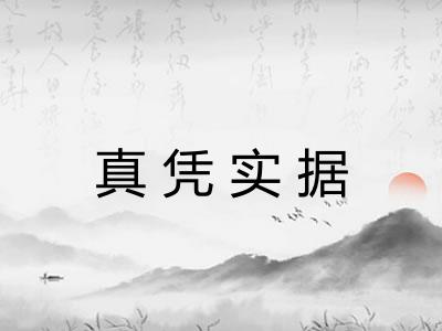 真凭实据