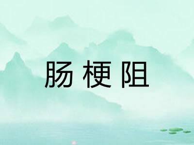 肠梗阻