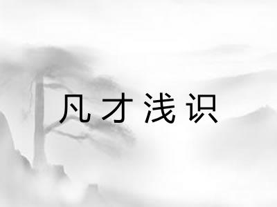 凡才浅识