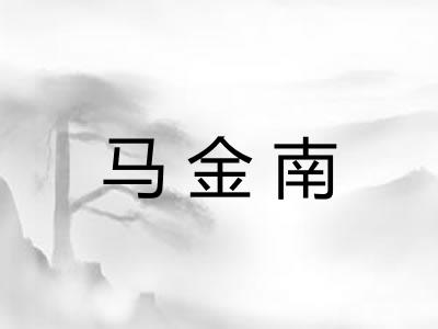 马金南