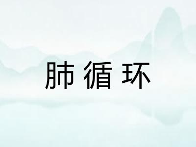 肺循环