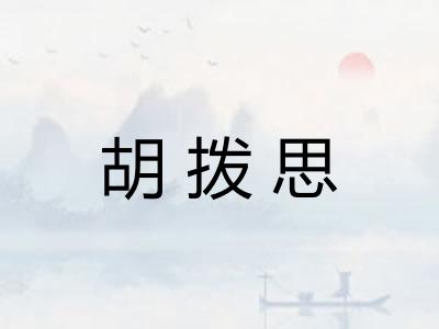 胡拨思