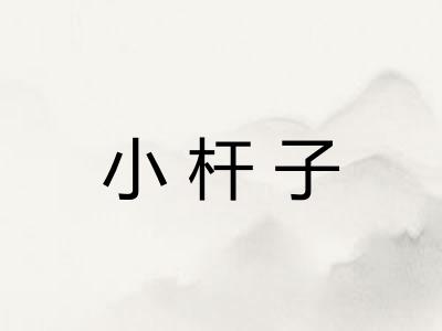 小杆子