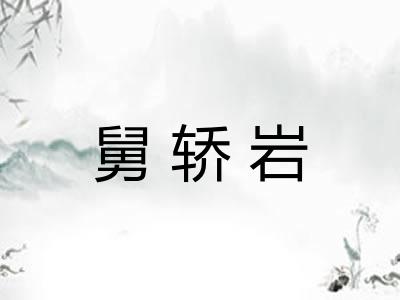 舅轿岩 舅轿岩