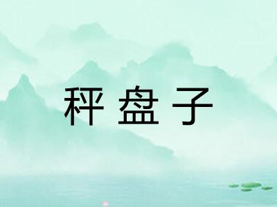 秤盘子