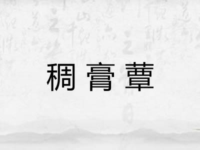 稠膏蕈 稠膏蕈
