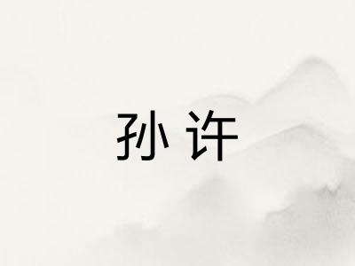 孙许