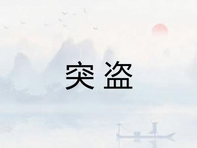 突盗