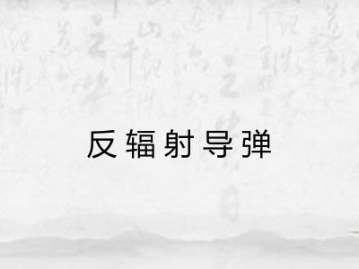 反辐射导弹