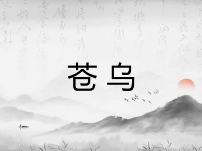 苍乌