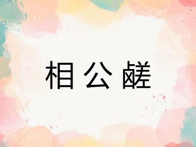 相公鹾