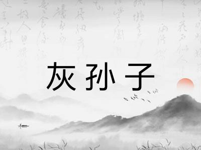 灰孙子