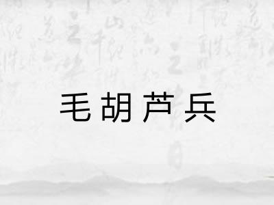 毛胡芦兵