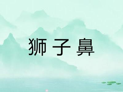 狮子鼻