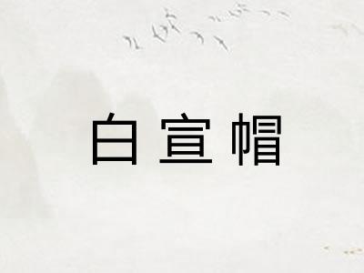 白宣帽
