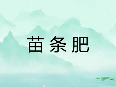 苗条肥 苗条肥