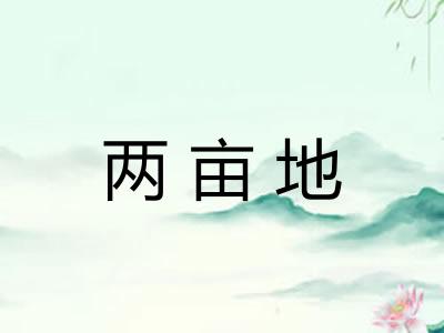 两亩地 两亩地